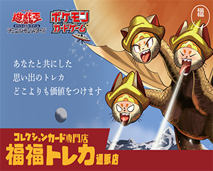 コレクション専門店はこちら