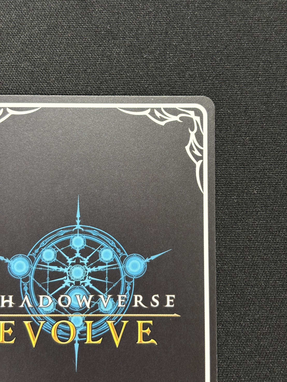 【状態B】栄光の華・エレノア(PR)(PR-465)