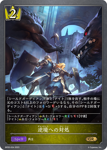 【状態B】逆境への対処(BP05-024)