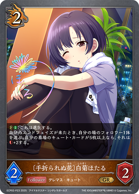 【状態B】〔手折られぬ花〕白菊ほたる(GRP)(ECP02-P23)