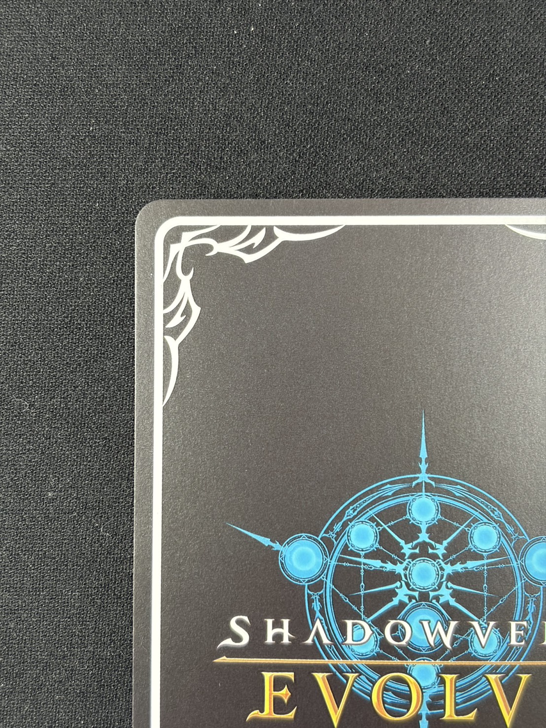 覇道の竜翼・フォルテ(GCS姫路)(プロモ)(PR-444)①