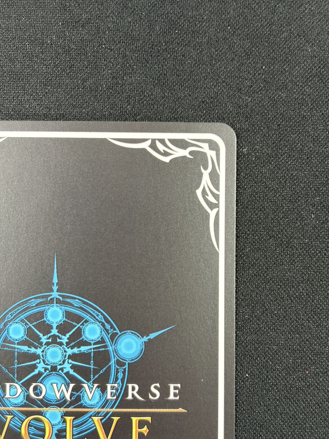 覇道の竜翼・フォルテ(GCS姫路)(プロモ)(PR-444)①