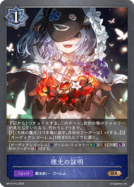 理光の証明(BRP)(BP16-P12)