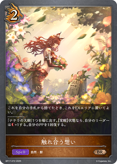 触れ合う想い(BR)(BP17-072)