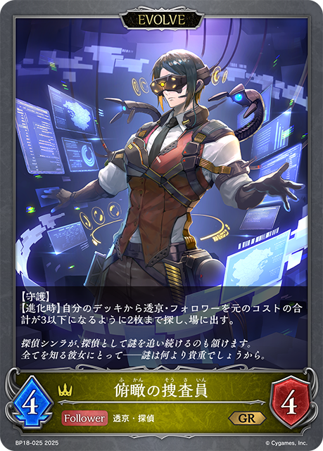 俯瞰の捜査員(EVOLVE)(GR)(BP18-025)