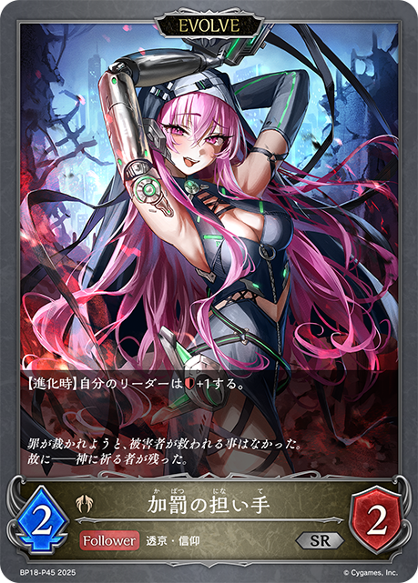 加罰の担い手(EVOLVE)(SRP)(BP18-P45)
